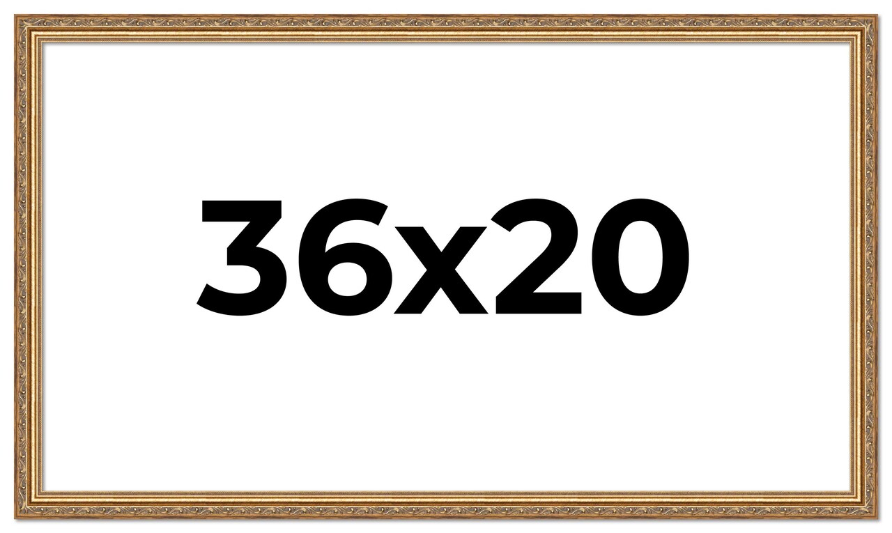 36x20 Solid Wood Antique Picture Frame with UV-Resistant Acrylic & Acid-Free Backing, Available in 4 Finishes: Bronze, Gold, Silver, and Gold with Black